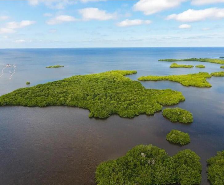 Duplex, Triplex and Fourplex Images