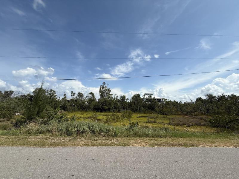 Duplex, Triplex and Fourplex Images