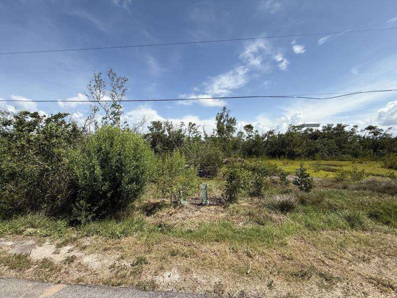 Duplex, Triplex and Fourplex Images