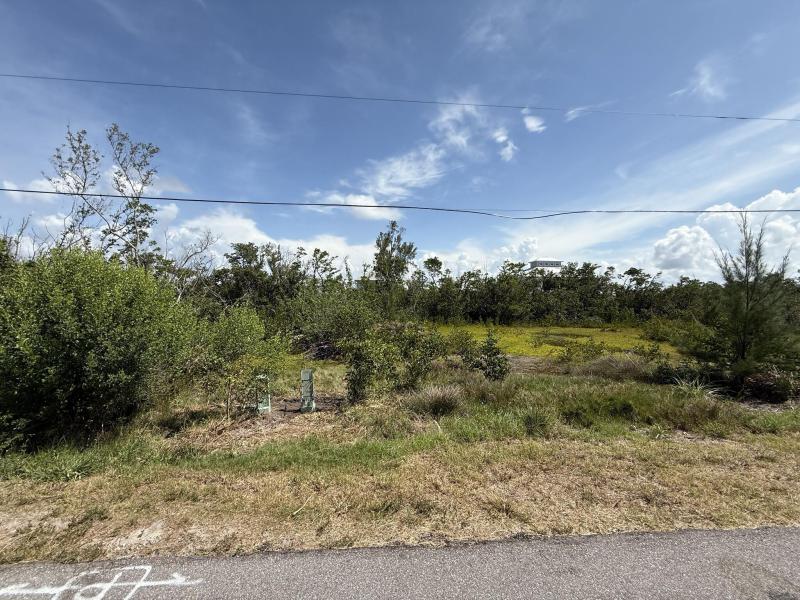 Duplex, Triplex and Fourplex Images