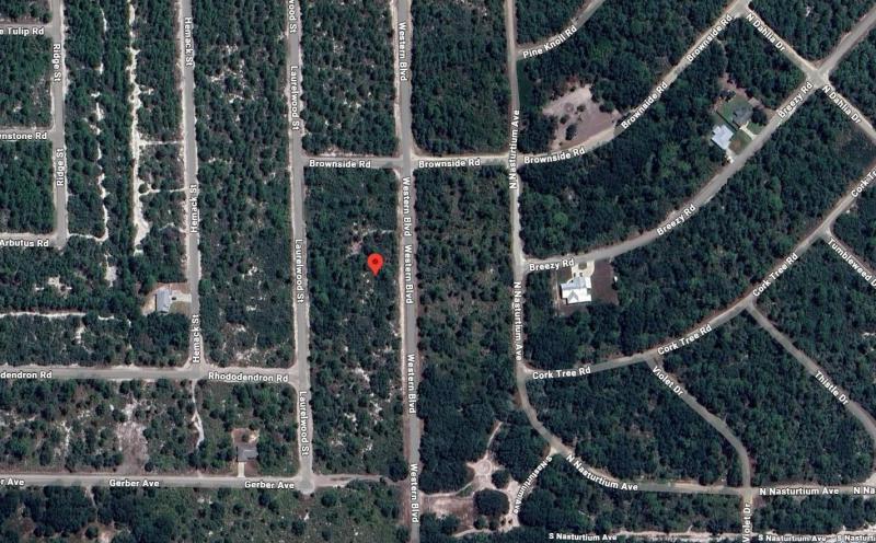 Duplex, Triplex and Fourplex Images