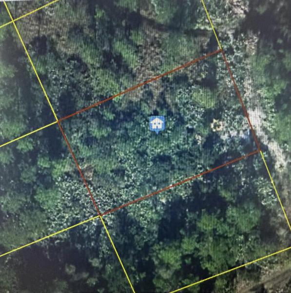 Duplex, Triplex and Fourplex Images