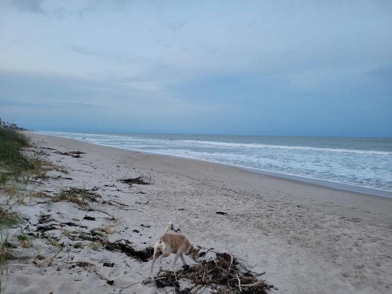 Duplex, Triplex and Fourplex Images