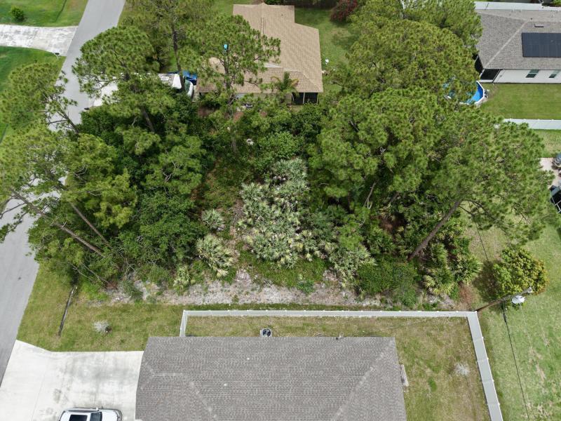 Duplex, Triplex and Fourplex Images