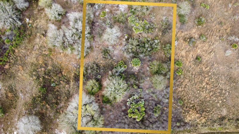 Duplex, Triplex and Fourplex Images