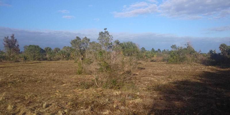  Commercial & Industrial Land Images 