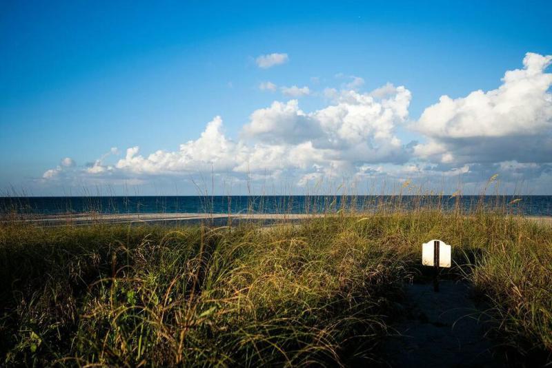  Single Family Homes Photo 16:  Jupiter Island,  FL 33455