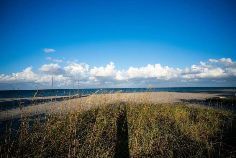  Single Family Homes Photo 17:  Jupiter Island,  FL 33455