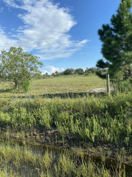  Commercial & Industrial Land Images 