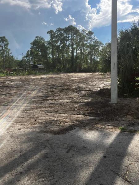 Duplex, Triplex and Fourplex Images