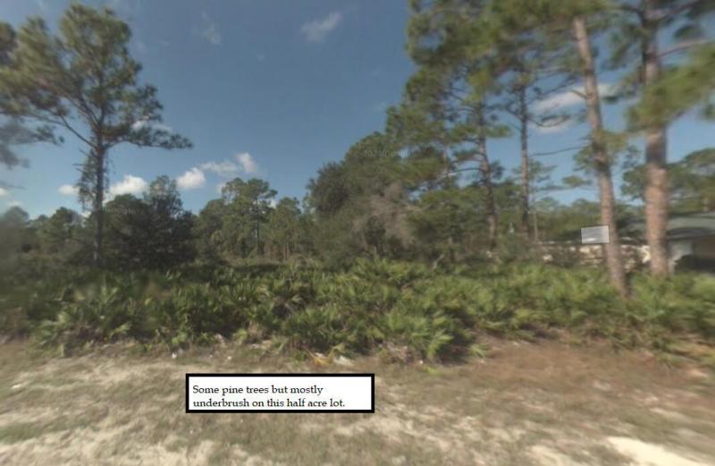 Duplex, Triplex and Fourplex Images