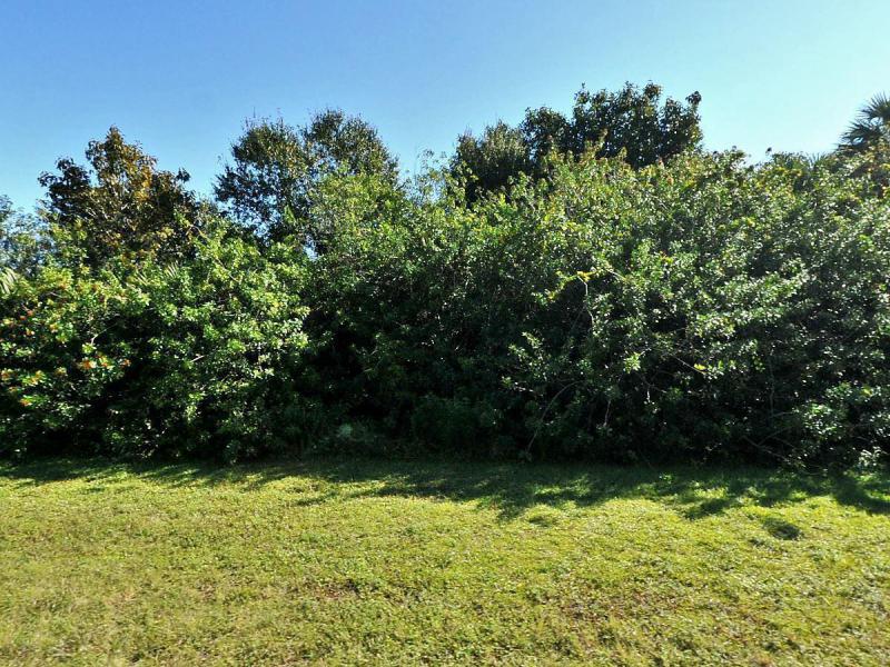  Commercial & Industrial Land Images 