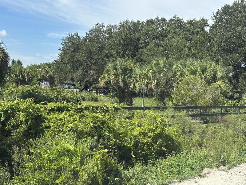  Commercial & Industrial Land Images 