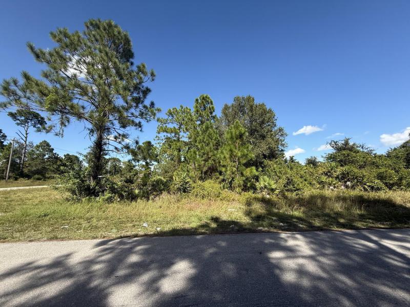 Duplex, Triplex and Fourplex Images