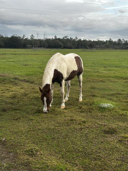  Commercial & Industrial Land Images 