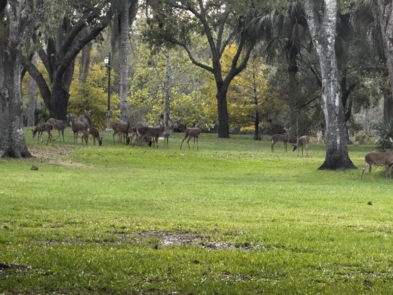  Commercial & Industrial Land Images 