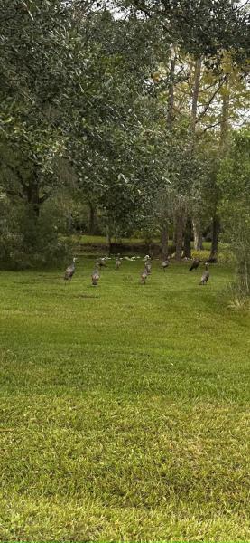  Commercial & Industrial Land Images 