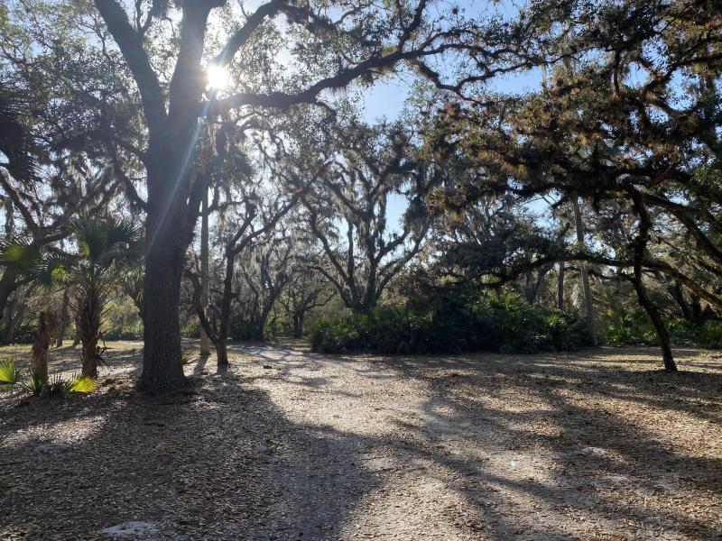  Commercial & Industrial Land Images 