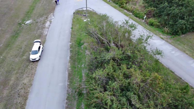 Duplex, Triplex and Fourplex Images