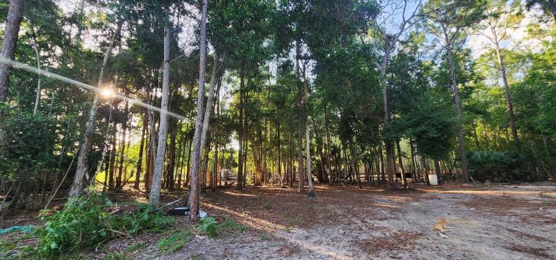  Commercial & Industrial Land Images 