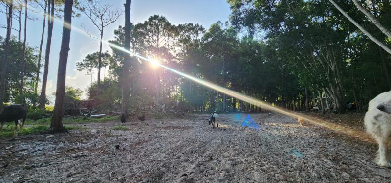  Commercial & Industrial Land Images 