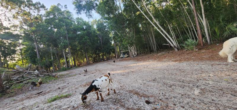  Commercial & Industrial Land Images 