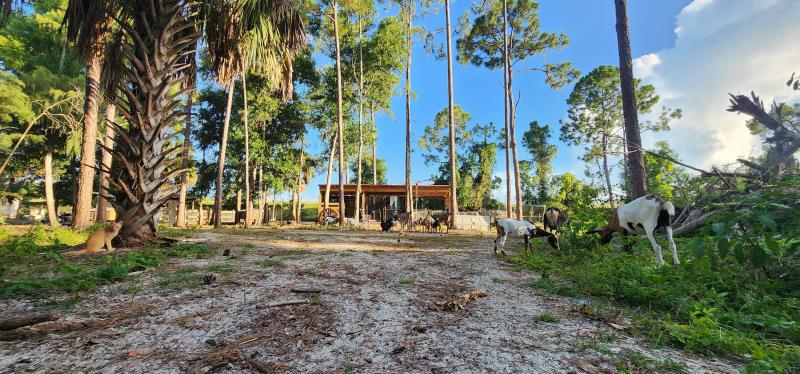  Commercial & Industrial Land Images 