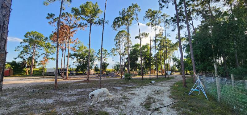  Commercial & Industrial Land Images 