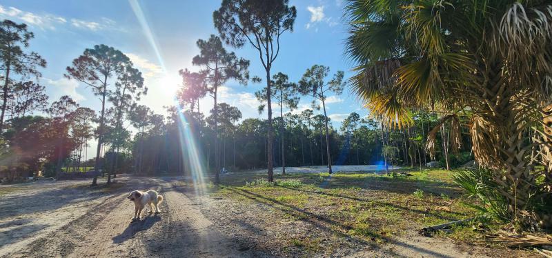  Commercial & Industrial Land Images 