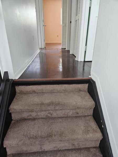  Single Family Homes Photo 11:  Miami,  FL 33179