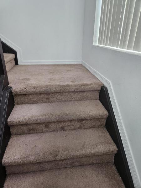  Single Family Homes Photo 8:  Miami,  FL 33179