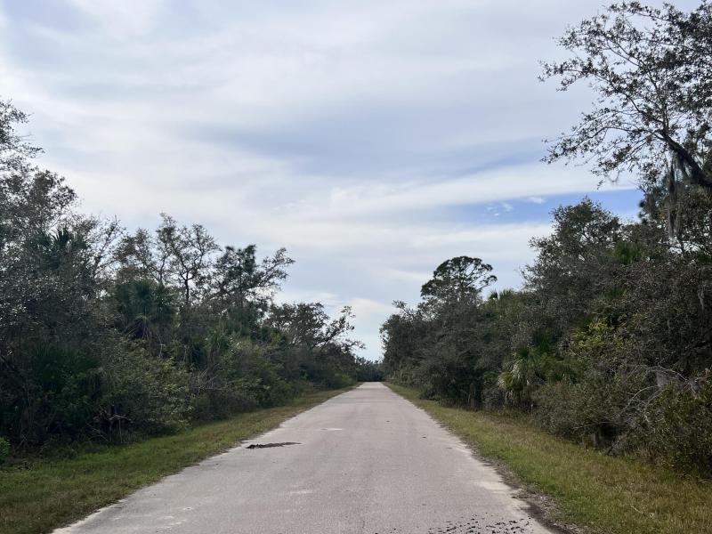 Duplex, Triplex and Fourplex Images