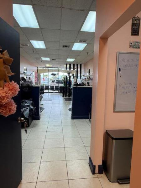 Business Opportunities Photos