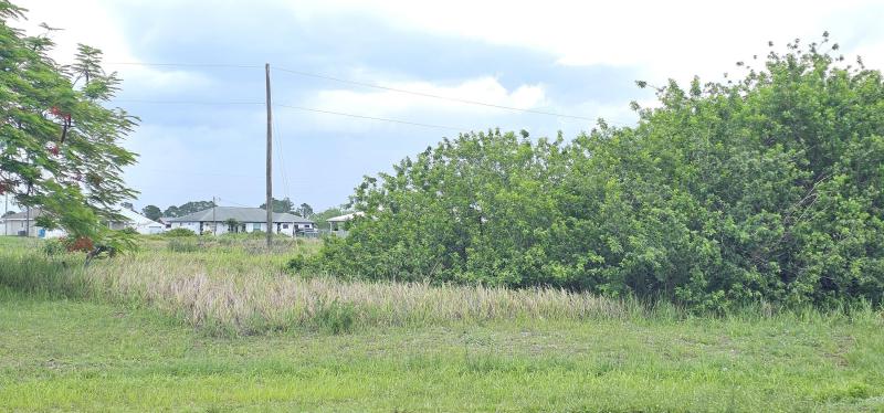 Duplex, Triplex and Fourplex Images