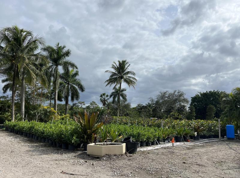  Commercial & Industrial Land Images 