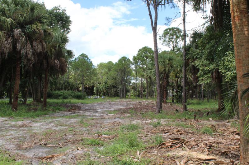 Duplex, Triplex and Fourplex Images