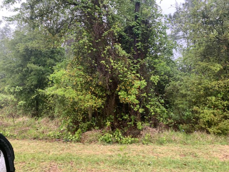  Commercial & Industrial Land Images 