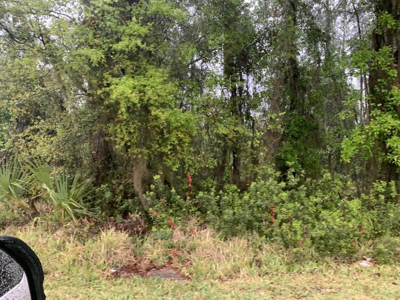  Commercial & Industrial Land Images 