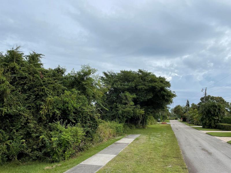 Duplex, Triplex and Fourplex Images