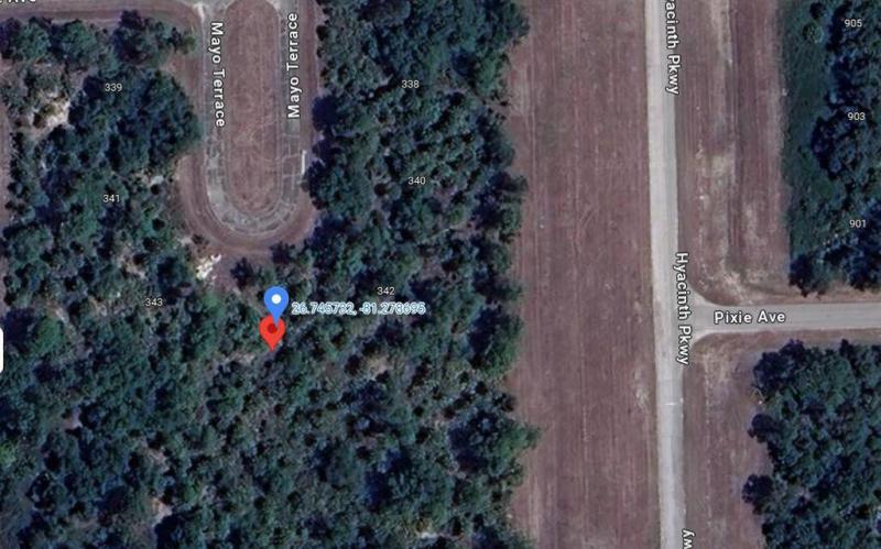 Duplex, Triplex and Fourplex Images