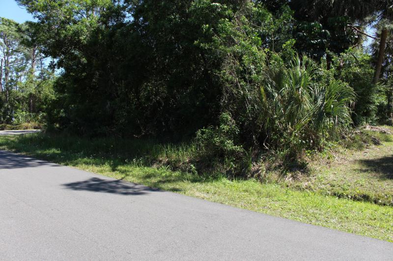 Duplex, Triplex and Fourplex Images