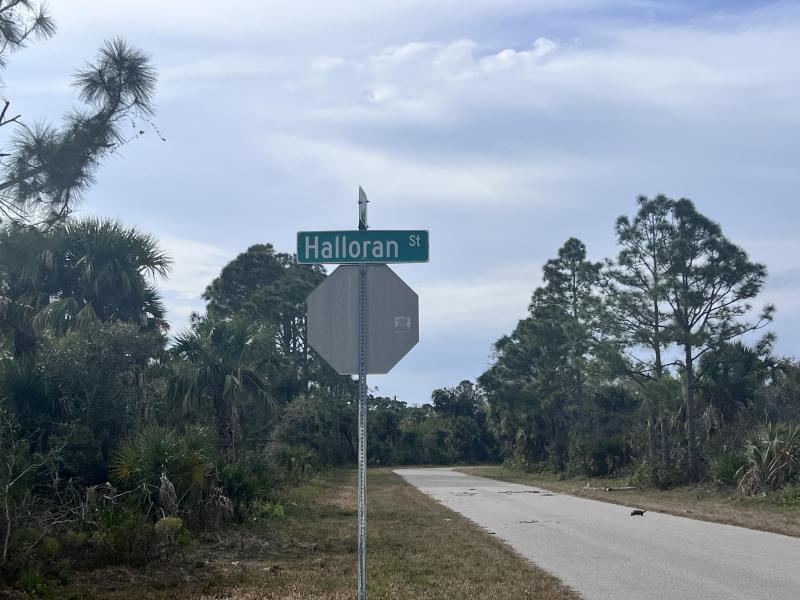 Duplex, Triplex and Fourplex Images