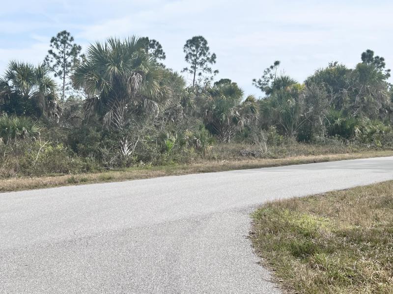 Duplex, Triplex and Fourplex Images