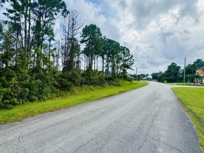 Duplex, Triplex and Fourplex Images