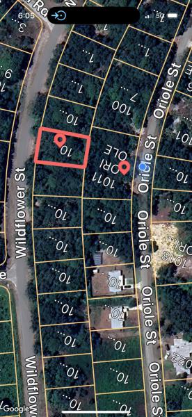 Duplex, Triplex and Fourplex Images