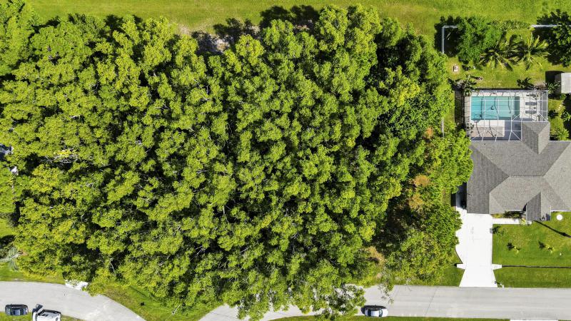 Duplex, Triplex and Fourplex Images