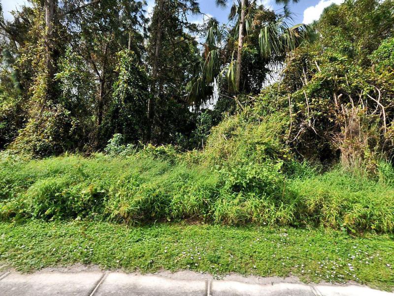  Commercial & Industrial Land Images 