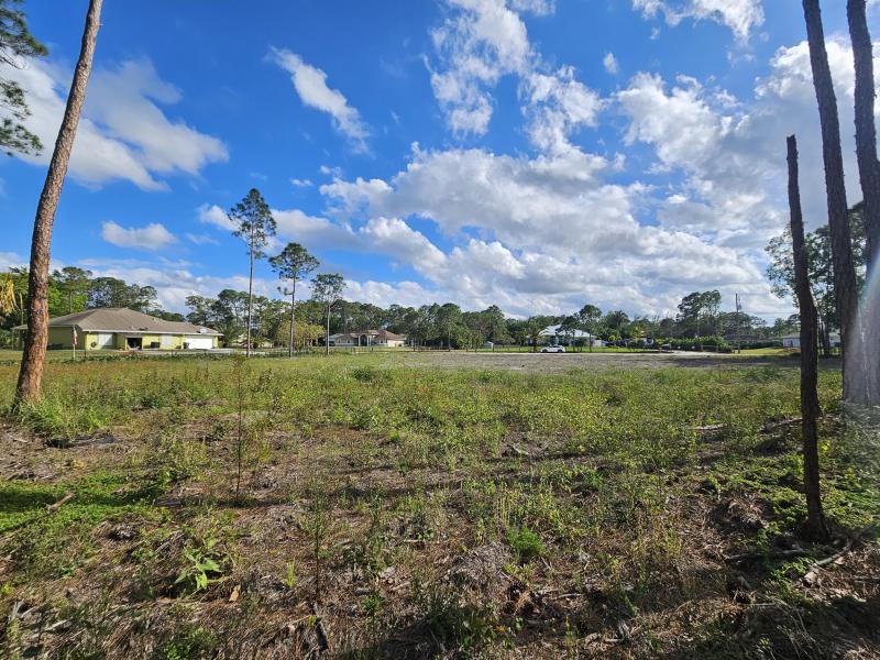 Duplex, Triplex and Fourplex Images