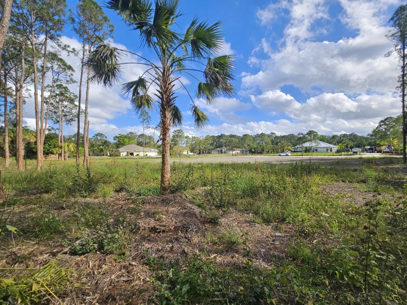 Duplex, Triplex and Fourplex Images