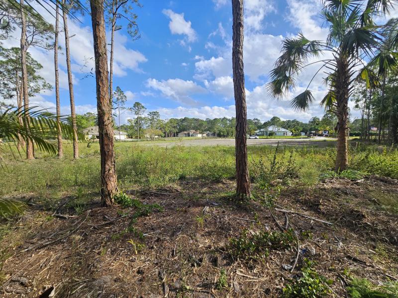 Duplex, Triplex and Fourplex Images